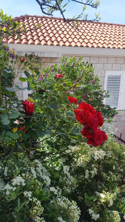 Guesthouse Ivona Dubrovnik Luaran gambar