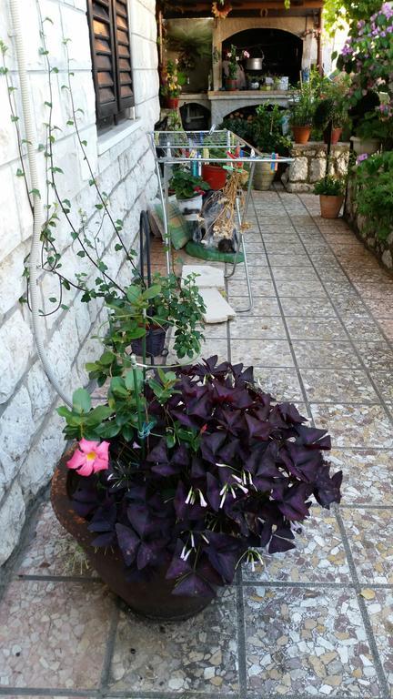 Guesthouse Ivona Dubrovnik Bilik gambar