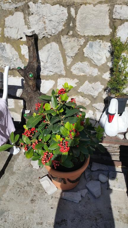 Guesthouse Ivona Dubrovnik Bilik gambar