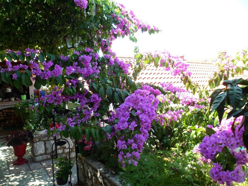 Guesthouse Ivona Dubrovnik Bilik gambar